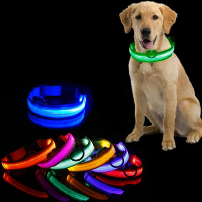 LED Light Dog Collar