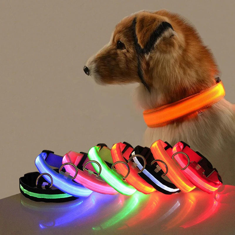 LED Light Dog Collar