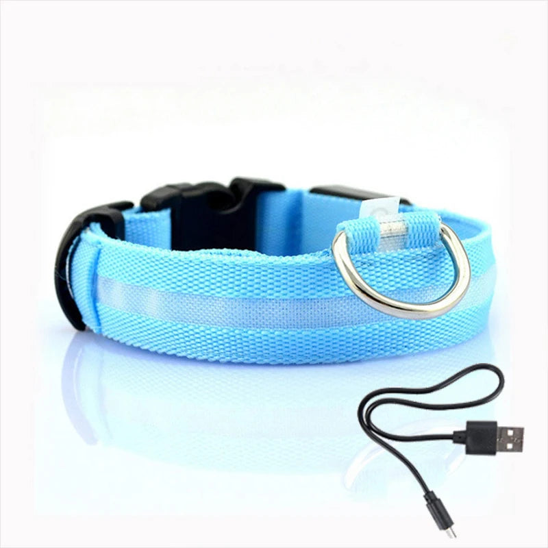 LED Light Dog Collar