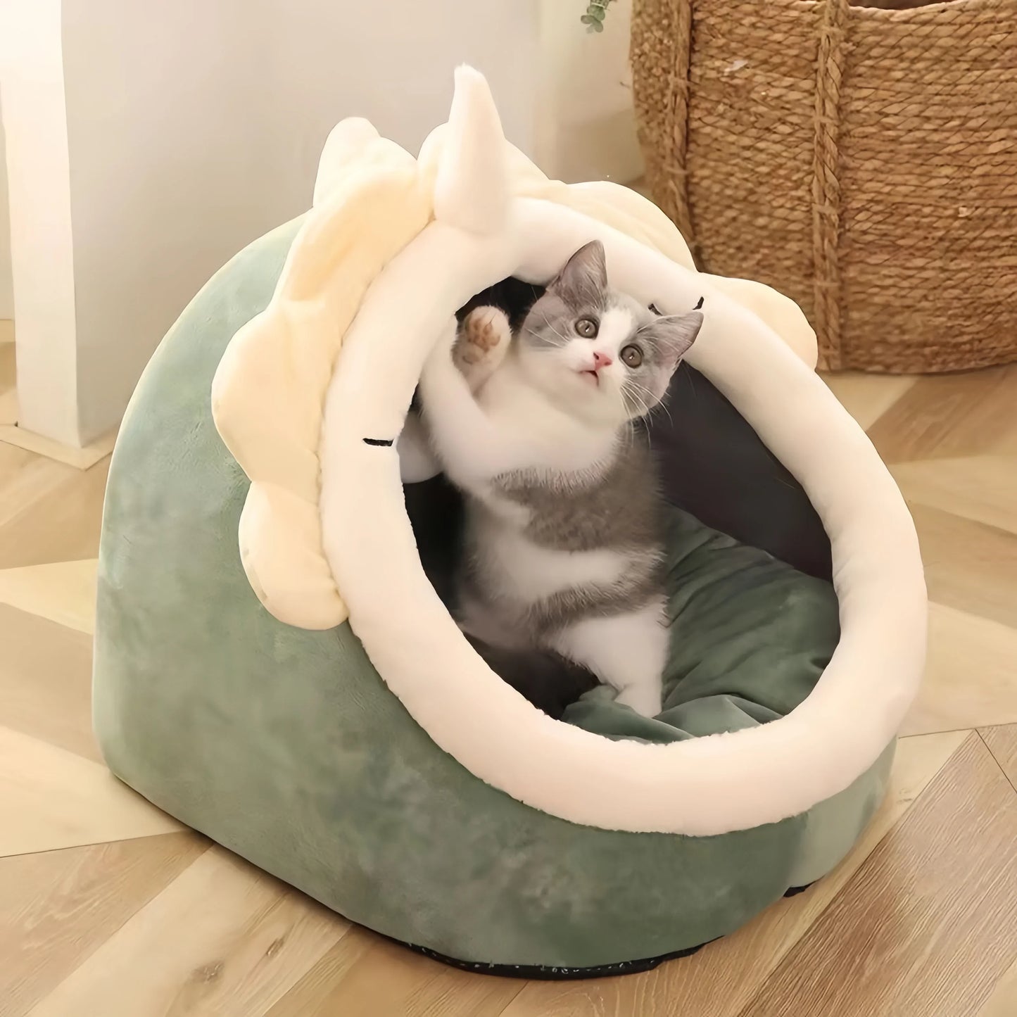 Cute Pet Bed Indoor